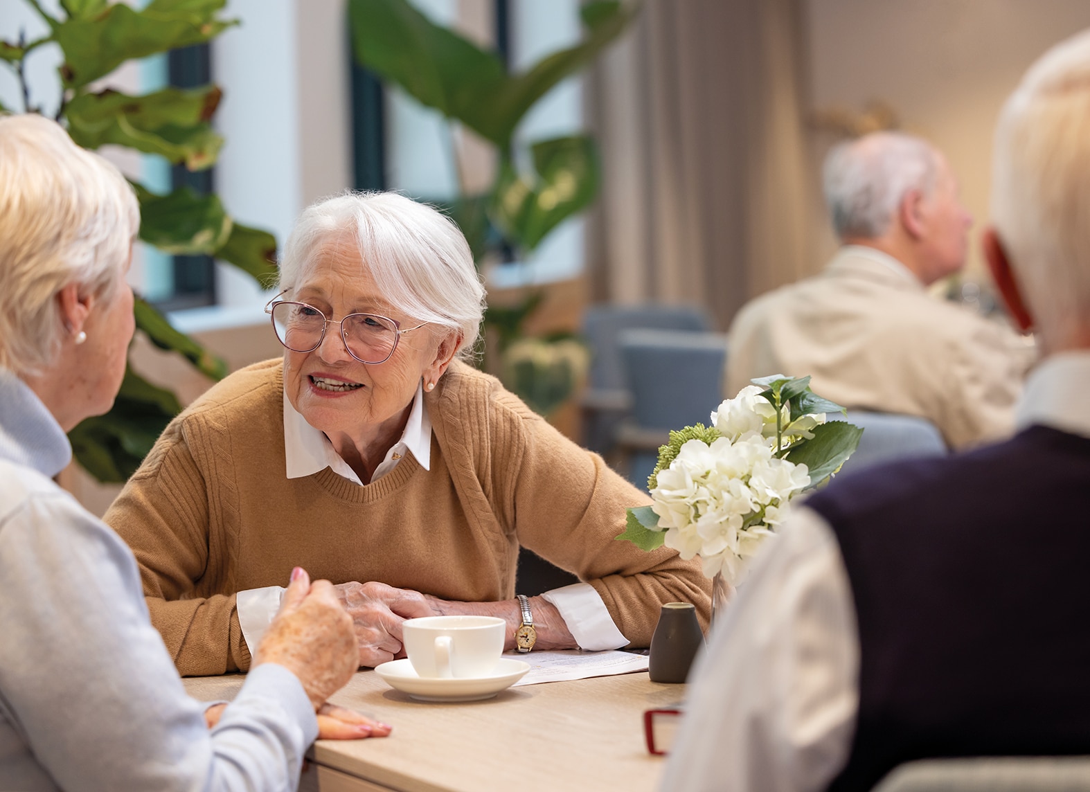 The Alba Suites - group of senior people enjoying lunch and chat at the cafe